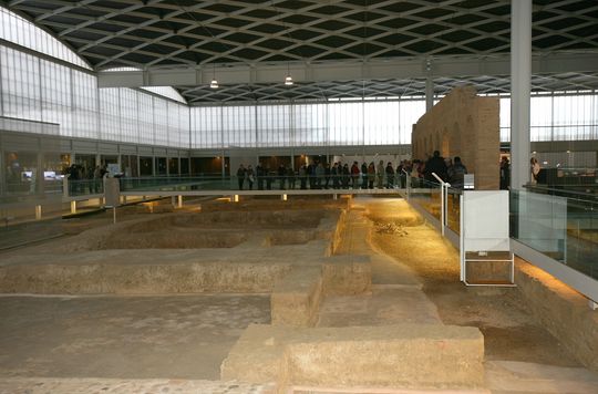 Visitas Olmeda Grupo(Alicante)